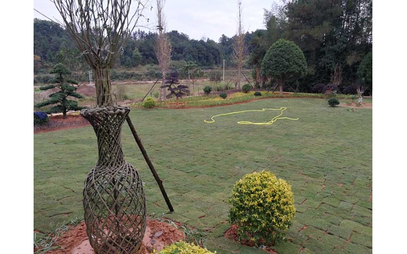 湖南華苑園林為長沙縣開慧鄉(xiāng)喻總的農莊設計了精致園林綠化方案，包括草坪、造型樹、喬木、灌木等多種植物。